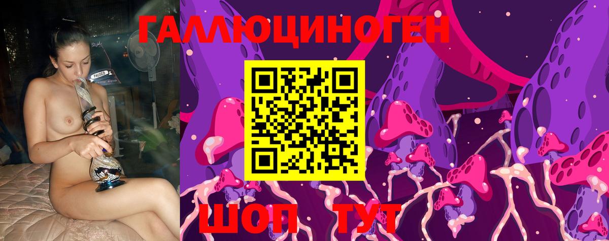 Псилоцибиновые грибы Psilocybe  Вход с VPN  Бийск  купить  цена  Псилоцибиновые грибы Psilocybine cubensis 