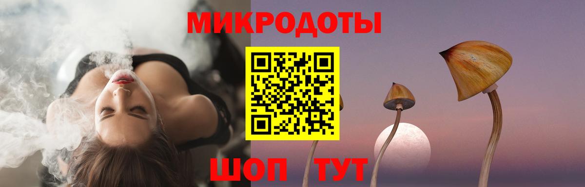 Псилоцибиновые грибы Psilocybe Бийск
